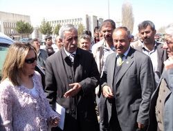 Çiftçiye patates tohumu desteği 
